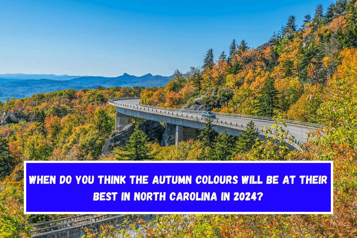 When do you think the autumn colours will be at their best in North Carolina in 2024