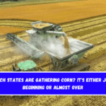 Which states are gathering corn It's either just beginning or almost over