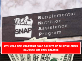 With COLA rise, California SNAP payouts up to $1,756; check CalFresh EBT card balance