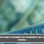 $1,415 SSI payment in November 2024 requirements and payment schedule