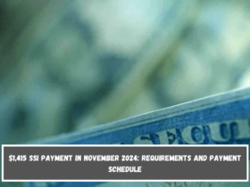 $1,415 SSI payment in November 2024 requirements and payment schedule