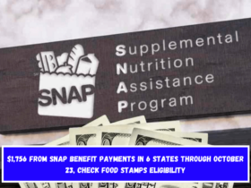 $1,756 from SNAP benefit payments in 6 States through October 23, check Food Stamps eligibility