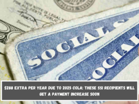 $288 extra per year due to 2025 COLA These SSI recipients will get a payment increase soon