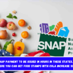 $768 SNAP payment to be issued in hours in these States, check where you can get Food Stamps with COLA increase soon