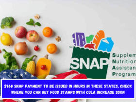 $768 SNAP payment to be issued in hours in these States, check where you can get Food Stamps with COLA increase soon