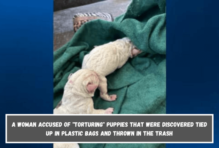 A woman accused of torturing puppies that were discovered tied up in plastic bags and thrown in the trash