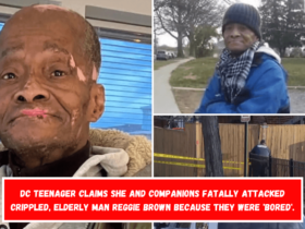 DC teenager claims she and companions fatally attacked crippled, elderly man Reggie Brown because they were 'bored'.