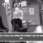 Hamlet police are looking into business and car break-ins