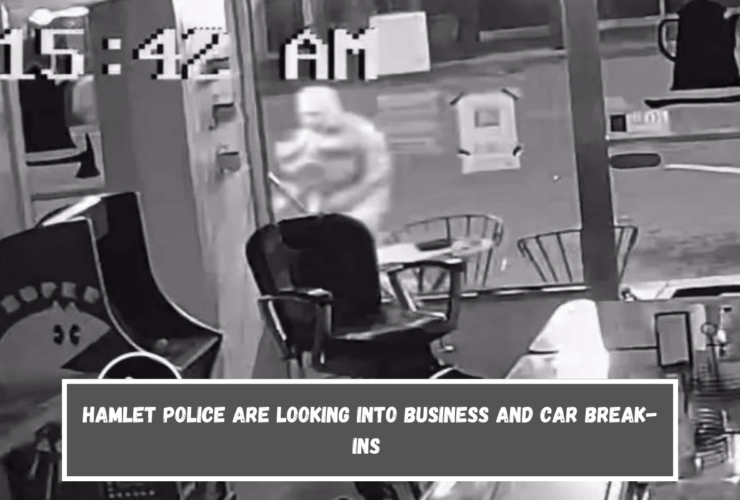 Hamlet police are looking into business and car break-ins