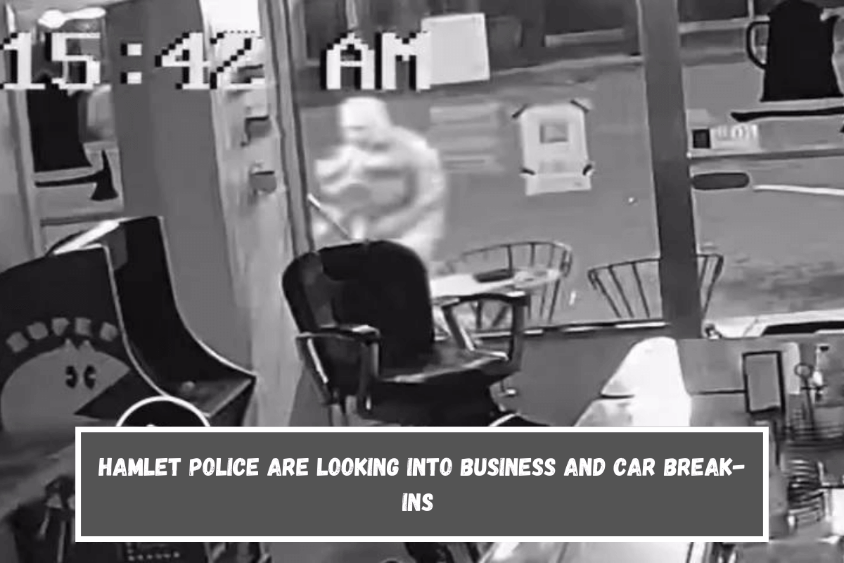 Hamlet police are looking into business and car break-ins