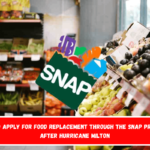 How to apply for food replacement through the SNAP program after Hurricane Milton