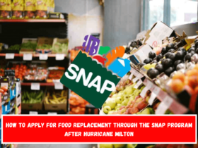 How to apply for food replacement through the SNAP program after Hurricane Milton