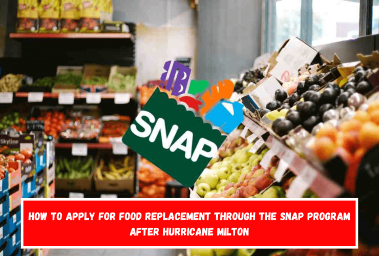 How to apply for food replacement through the SNAP program after Hurricane Milton