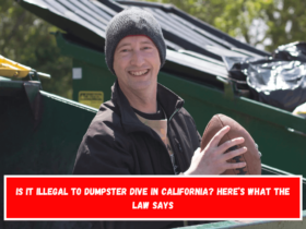 Is It Illegal to Dumpster Dive in California Here’s What the Law Says