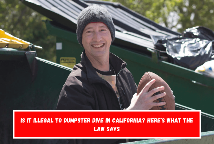 Is It Illegal to Dumpster Dive in California Here’s What the Law Says