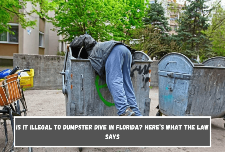 Is It Illegal to Dumpster Dive in Florida Here’s What the Law Says