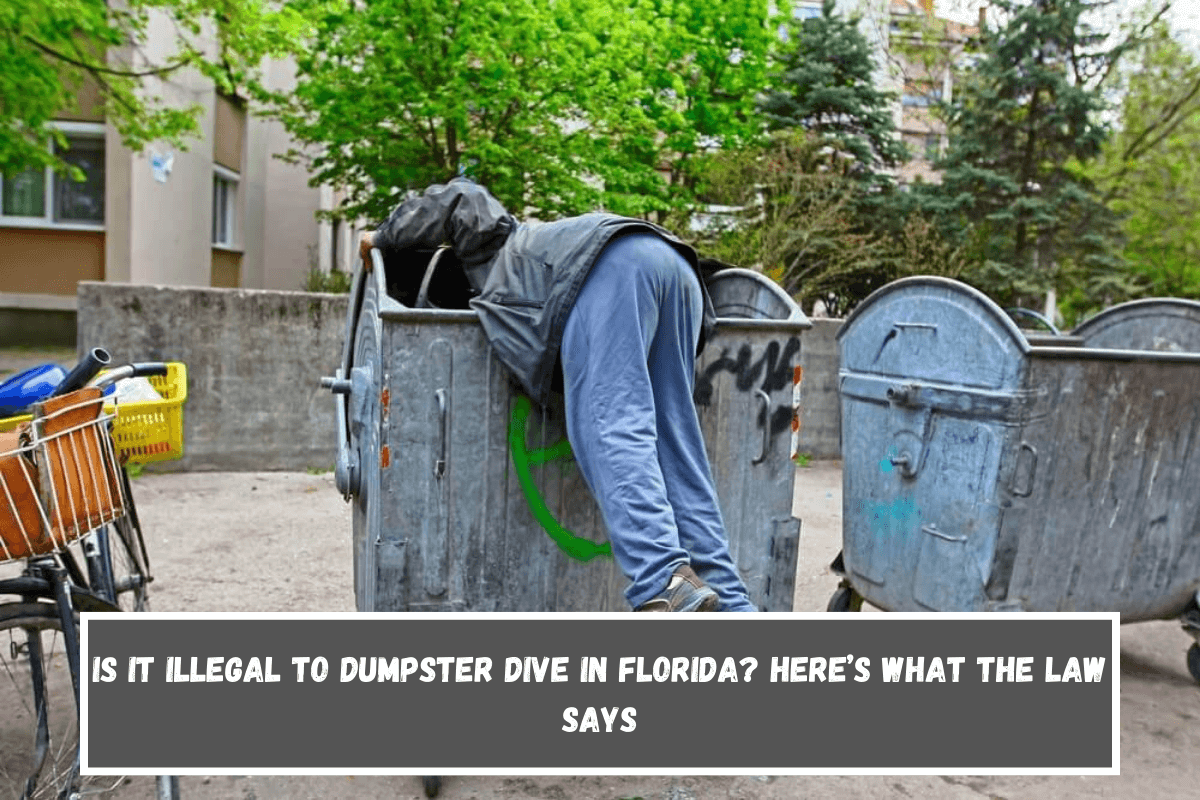 Is It Illegal to Dumpster Dive in Florida Here’s What the Law Says