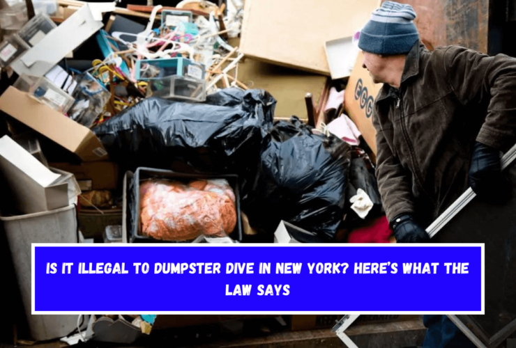 Is It Illegal to Dumpster Dive in New York Here’s What the Law Says