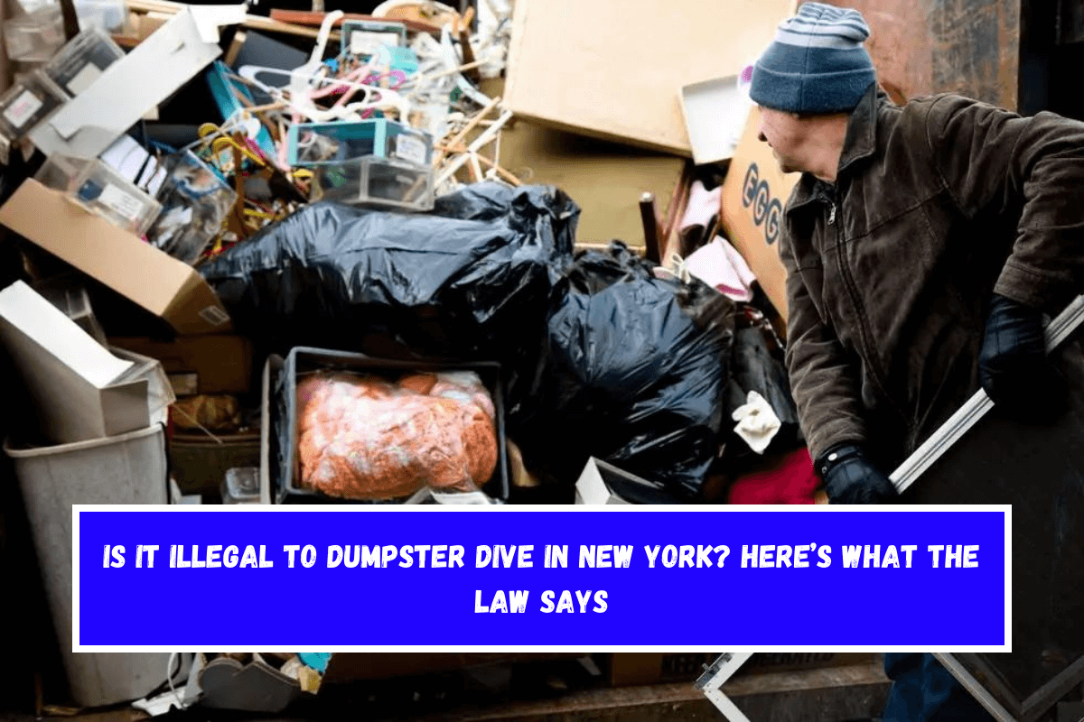 Is It Illegal to Dumpster Dive in New York Here’s What the Law Says