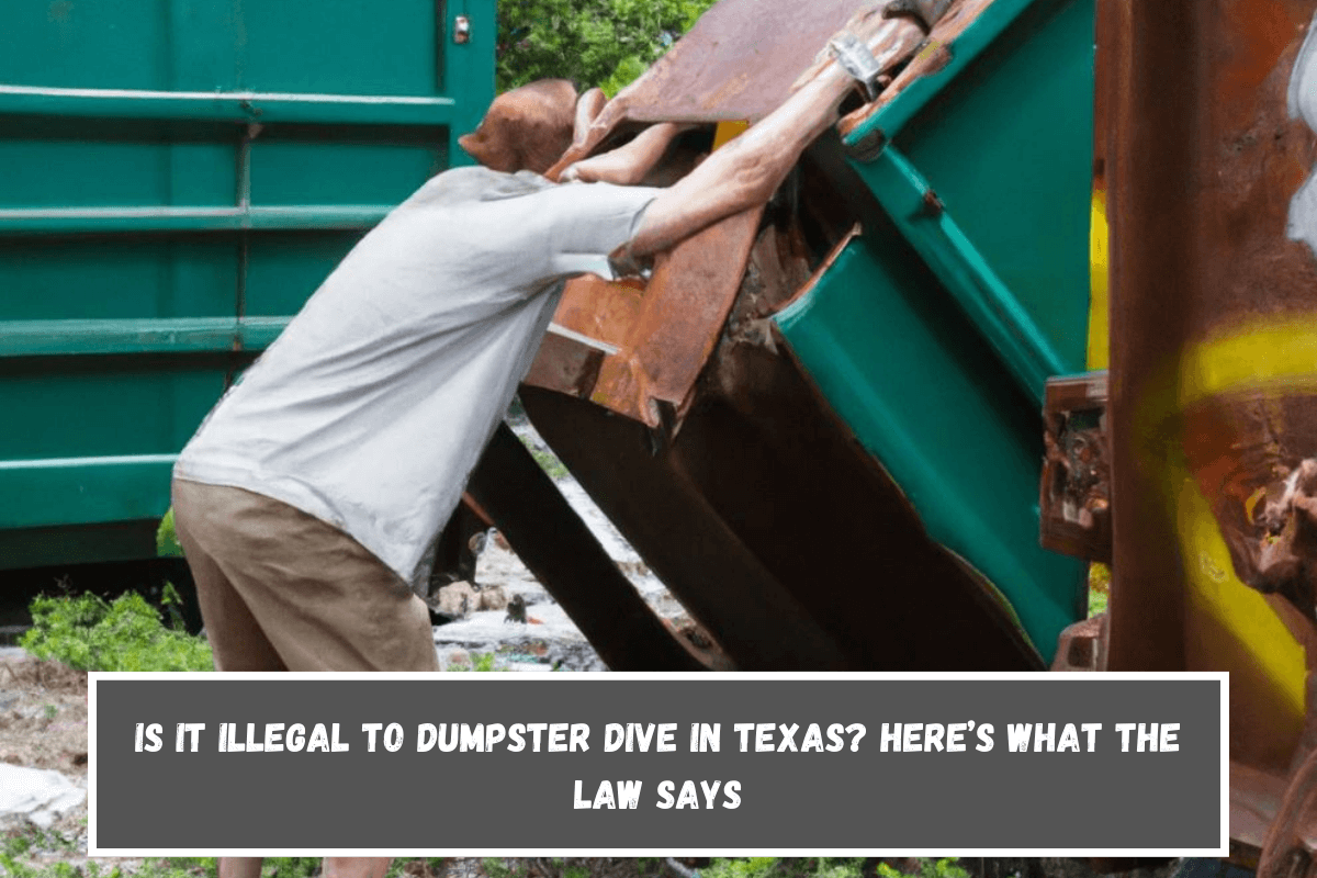 Is It Illegal to Dumpster Dive in Texas Here’s What the Law Says