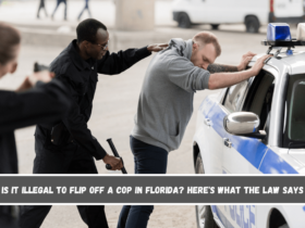 Is It Illegal to Flip Off a Cop in Florida Here's What the Law Says