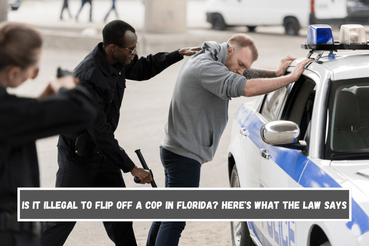 Is It Illegal to Flip Off a Cop in Florida Here's What the Law Says