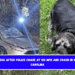 Lost dog after police chase at 120 mph and crash in North Carolina