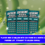 Lottery player wins $1 million with $20 found in a North Carolina parking lot. 'Straight to Golden Corral'