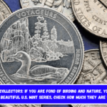 New Coin Collectors if you are fond of birding and nature, you’ll love these beautiful U.S. Mint series, check how much they are worth