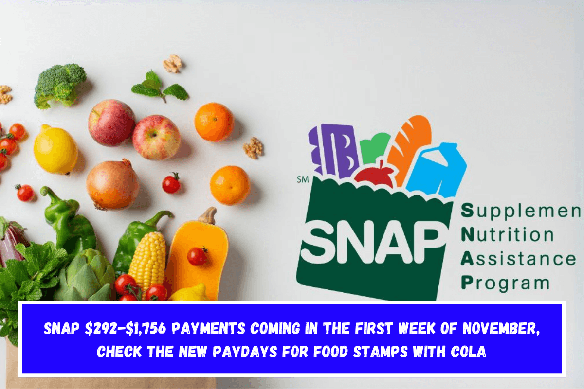 SNAP $292-$1,756 payments coming in the first week of November, check the new paydays for Food Stamps with COLA