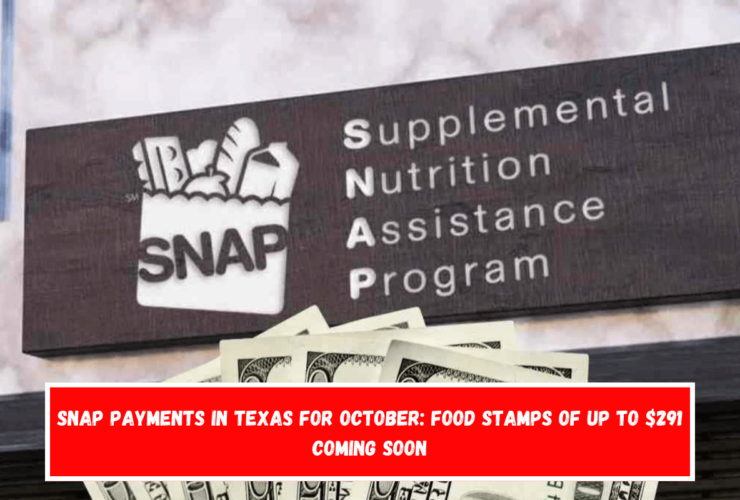 SNAP payments in Texas for October Food Stamps of up to $291 coming soon