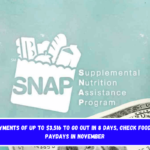 SNAP payments of up to $3,516 to go out in 8 days, check Food Stamps paydays in November