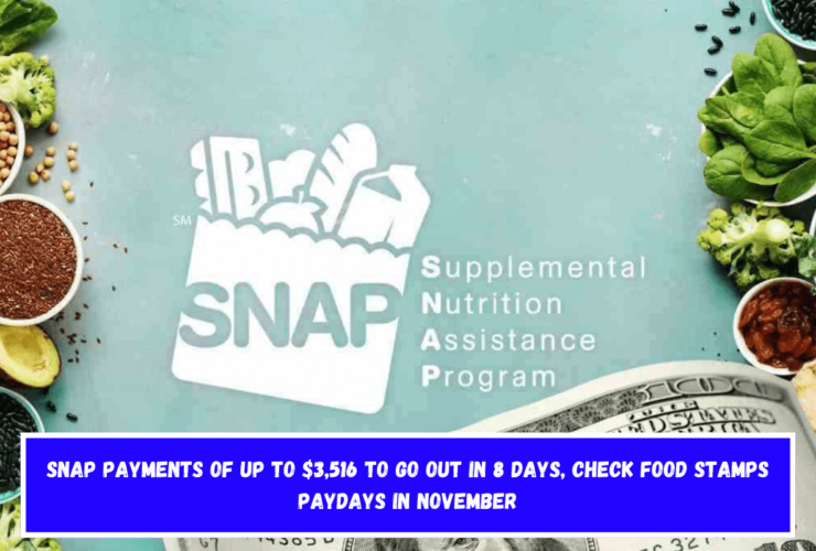 SNAP payments of up to $3,516 to go out in 8 days, check Food Stamps paydays in November