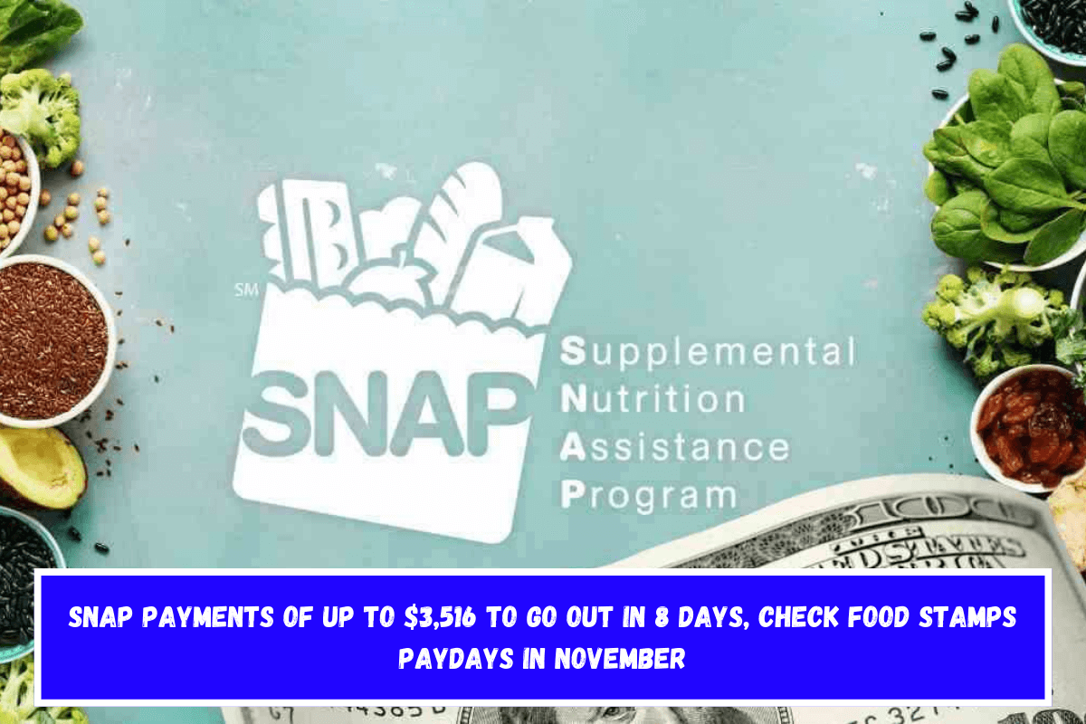 SNAP payments of up to $3,516 to go out in 8 days, check Food Stamps paydays in November