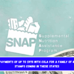 SNAP payments of up to $975 with COLA for a family of 4, Food Stamps coming in these States