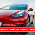 e-Car price update How much are Tesla Model Y and Model 3