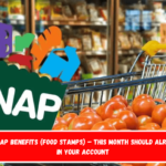 431 in SNAP benefits (food stamps) – This month should already be in your account