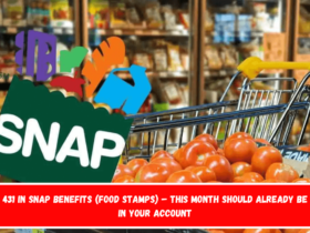 431 in SNAP benefits (food stamps) – This month should already be in your account