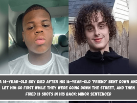 A 14-year-old boy died after his 16-year-old friend bent down and let him go first while they were going down the street, and then fired 13 shots in his back; minor sentenced