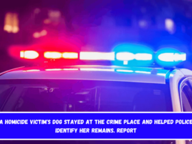 A homicide victim's dog stayed at the crime place and helped police identify her remains. Report