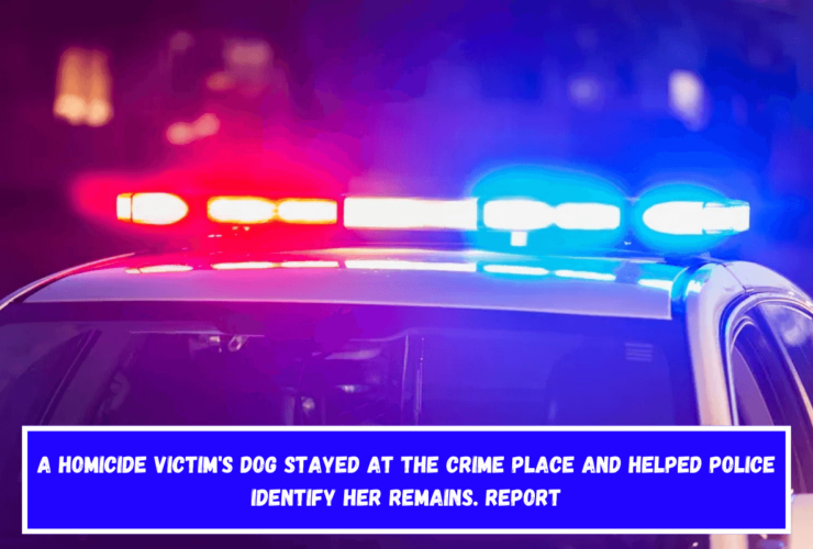 A homicide victim's dog stayed at the crime place and helped police identify her remains. Report