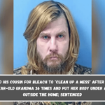 A man asked his cousin for bleach to clean up a mess after he stabbed his 72-year-old grandma 36 times and put her body under a carpet outside the home; sentenced