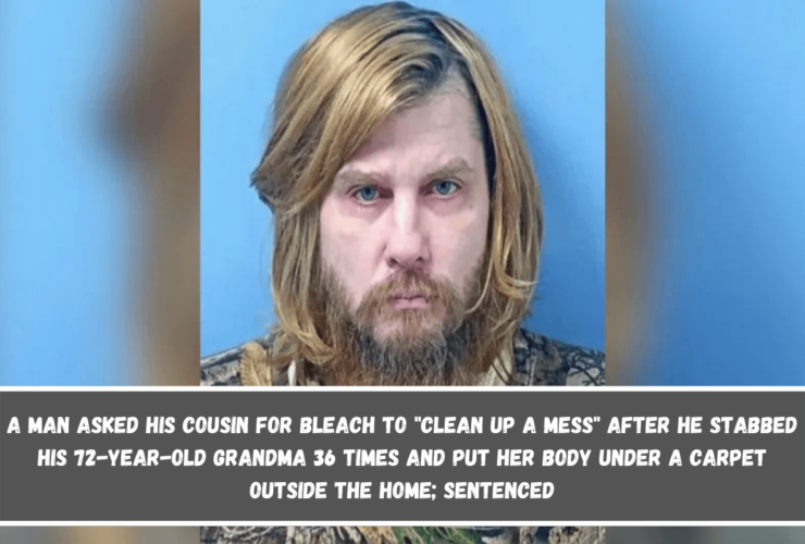 A man asked his cousin for bleach to clean up a mess after he stabbed his 72-year-old grandma 36 times and put her body under a carpet outside the home; sentenced