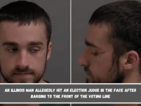 An Illinois man allegedly hit an election judge in the face after barging to the front of the voting line