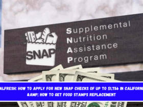 CalFresh How to apply for new SNAP checks of up to $1,756 in California & how to get Food Stamps replacement