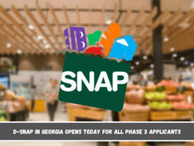 D-SNAP in Georgia opens today for all Phase 3 applicants