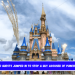 Disney World guests jumped in to stop a guy accused of punching a woman