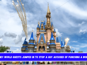 Disney World guests jumped in to stop a guy accused of punching a woman