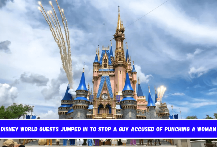 Disney World guests jumped in to stop a guy accused of punching a woman