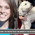 How a Family Dog Helped Solve the Murder of His Beloved Owner